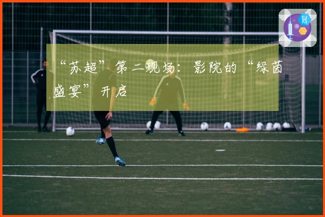 “苏超”第二现场：影院的“绿茵盛宴”开启